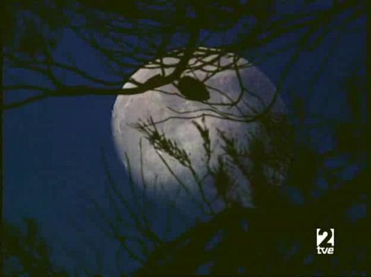 Jara y sedal - Jara y sedal - 09/05/08