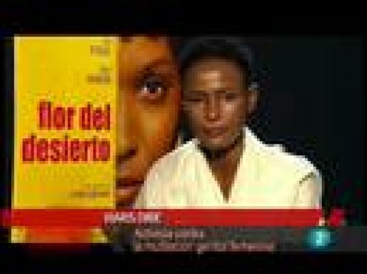 Días de cine - 'Flor del desierto'