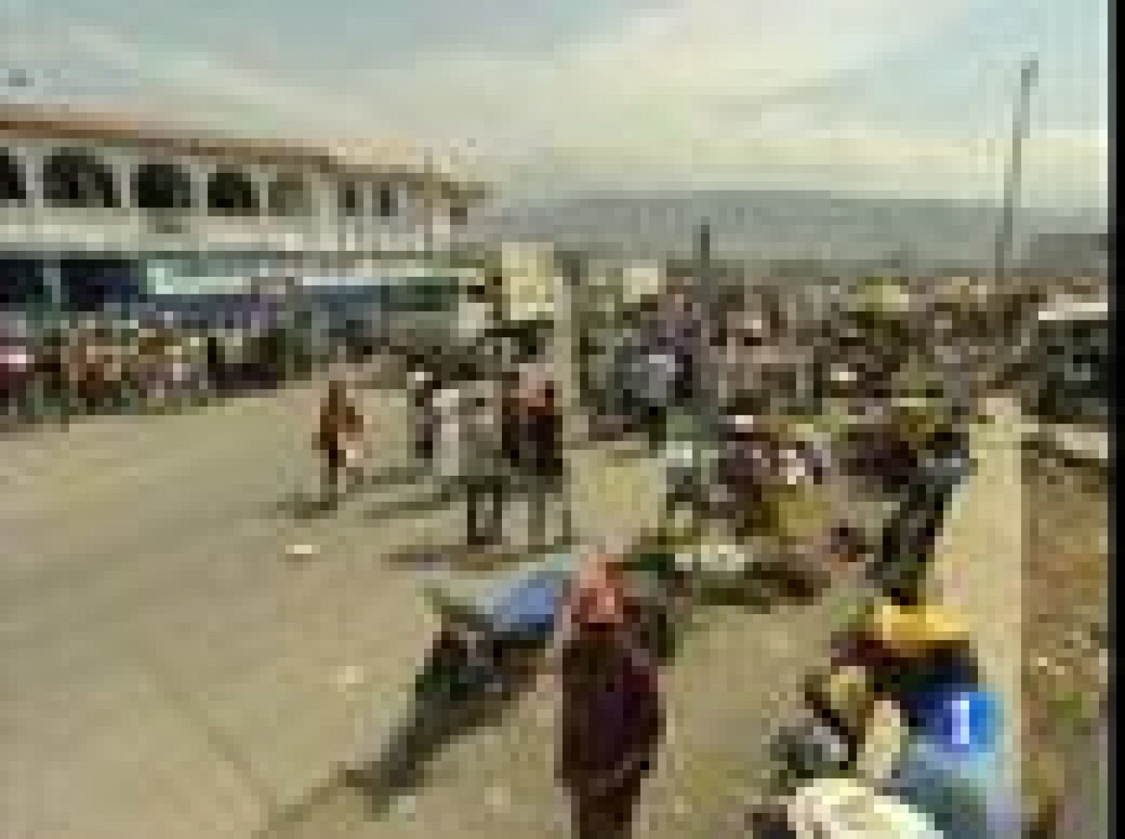 En Haití la ayuda que reciben los damnificados no cubre las necesidades mínimas | Ver