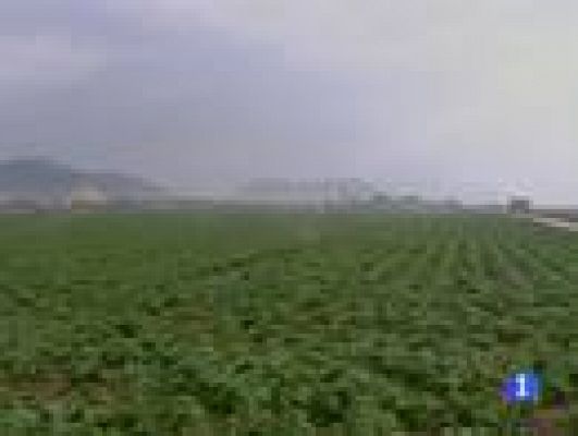 Informatiu Balear - Informatiu Balear - 12/03/10