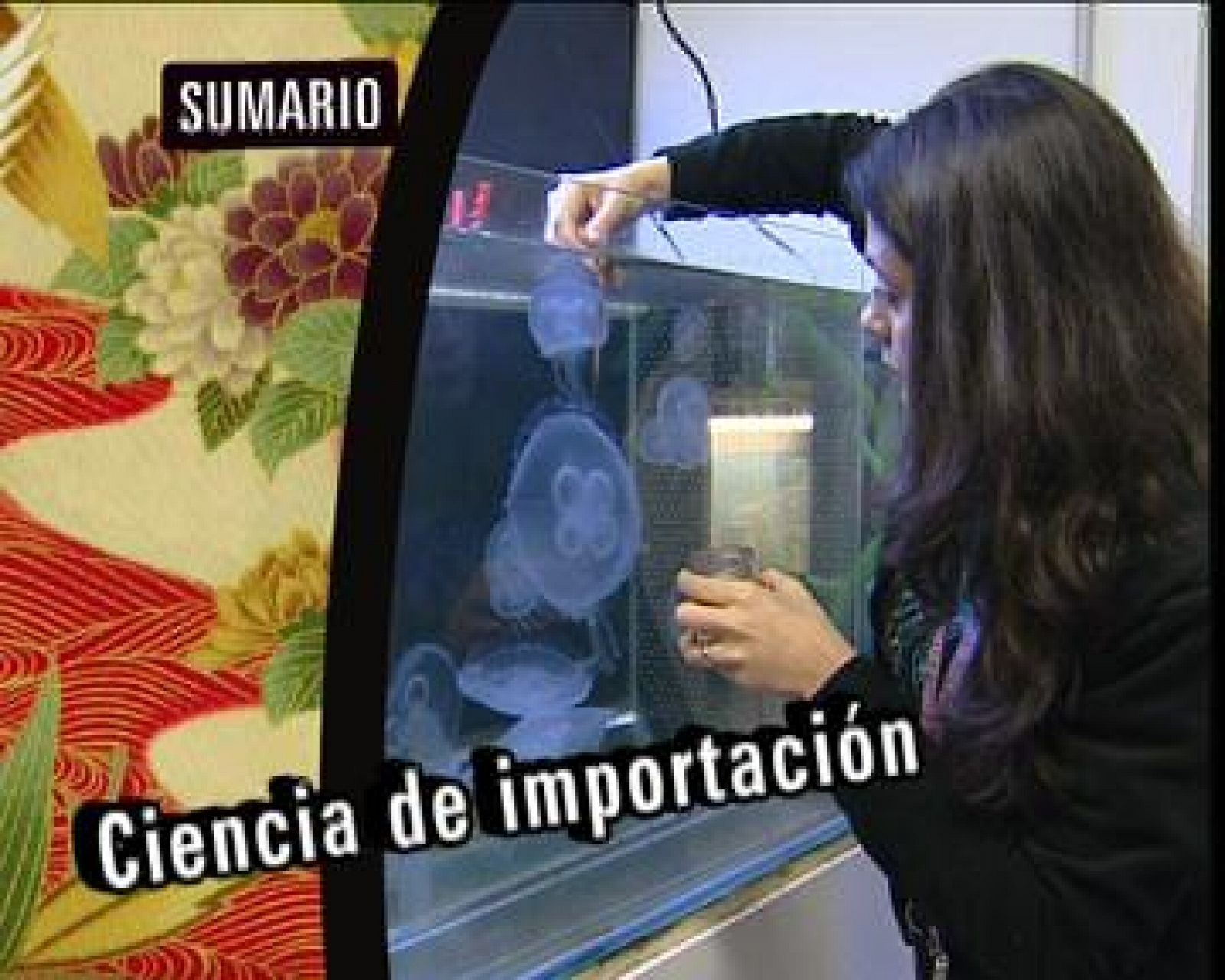 Babel en TVE: Ciencia de importación