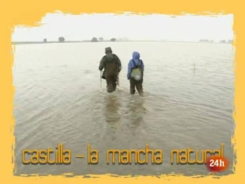 NATURAL:  Tecnonaturalistas (15/03/10)