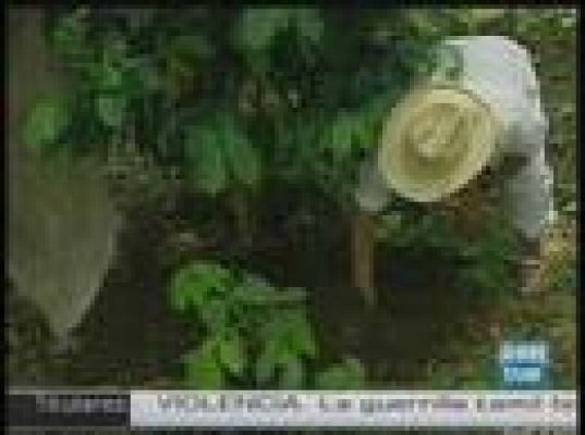  - 'Café justo' en la selva de México