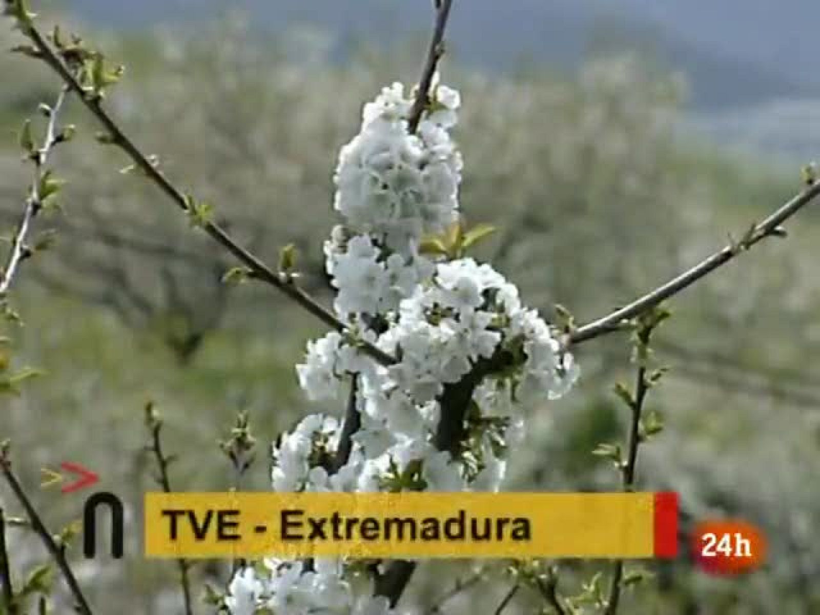 La conservación y pervivencia de la flora y la fauna extremeña cuenta, desde finales del pasado año con un nuevo e importante aliado. Se trata del banco genético de la biodiversidad de Extremadura. En sus instalaciones ya se han empezado a almacenar