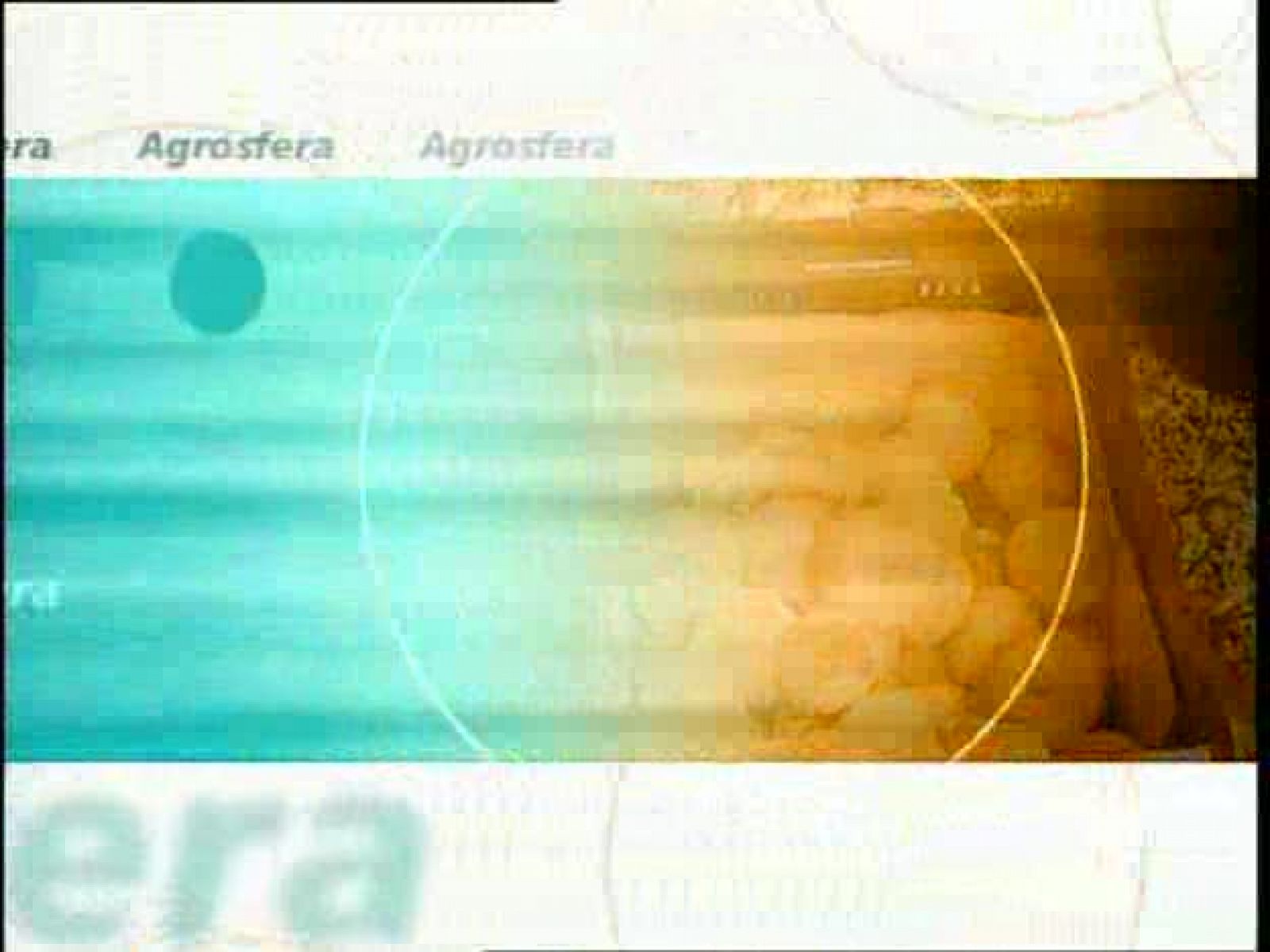 Agrosfera - 10/05/08