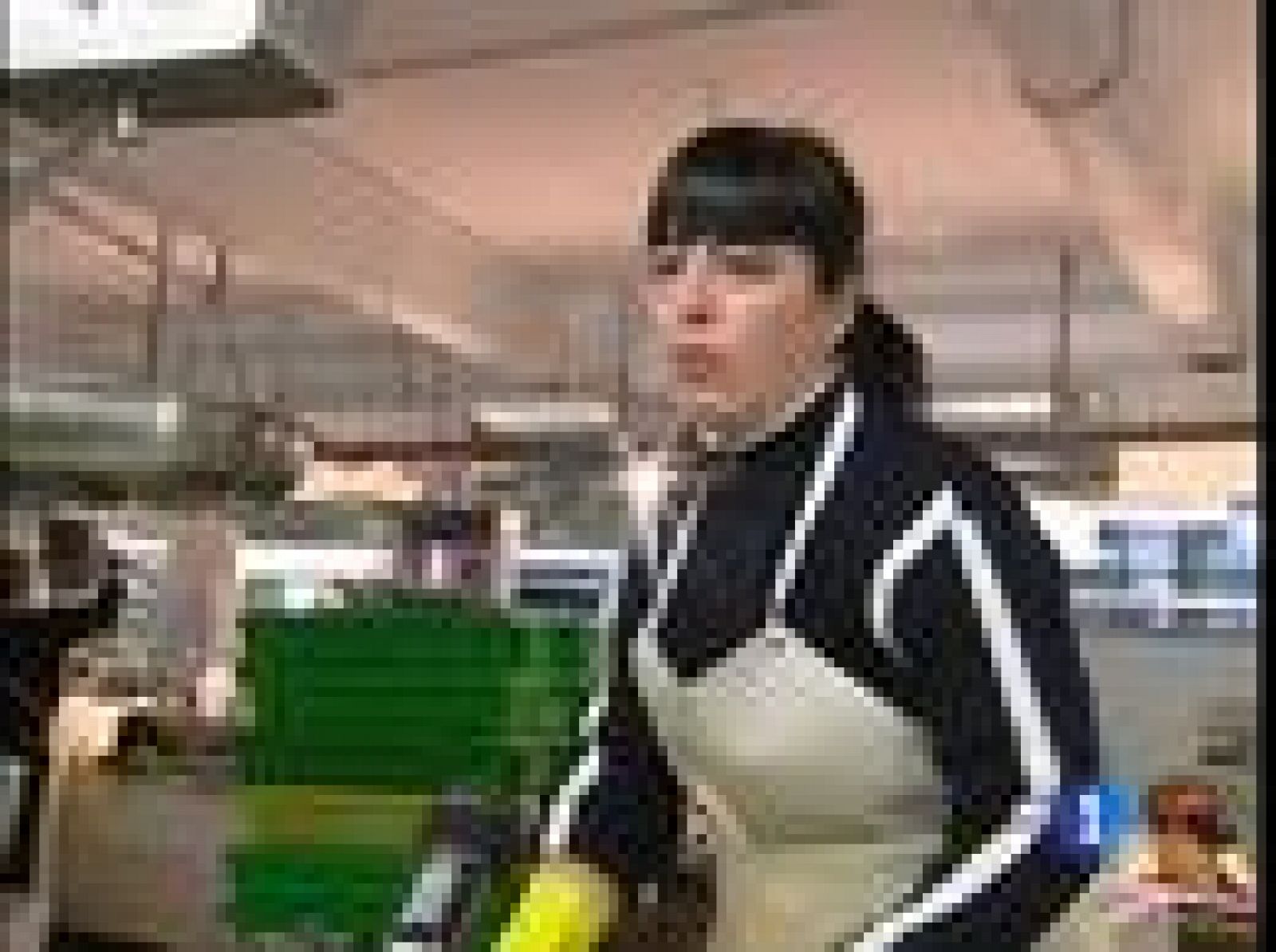 Las primeras anchoas del Cantábrico se ponen a la venta en el País Vasco | Ver