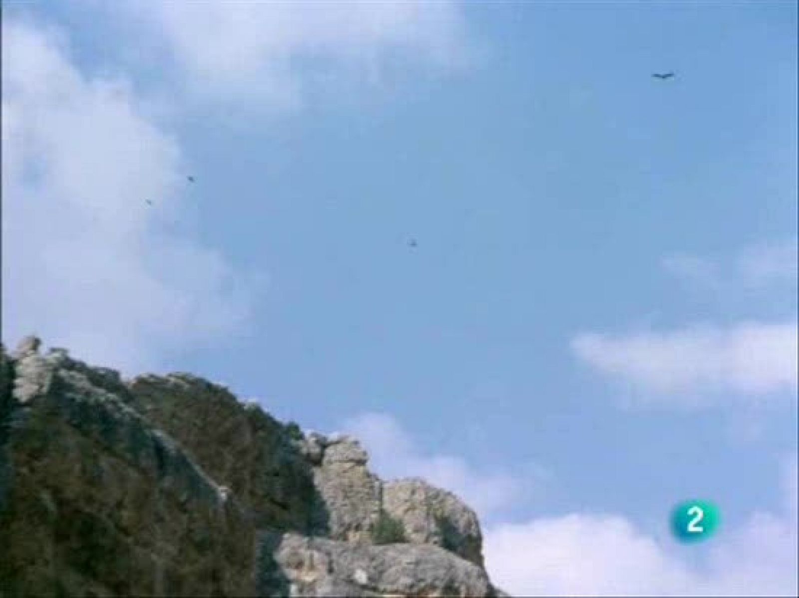 El hombre y la tierra - Lobo carroñero - El hombre y la Tierra | Ver