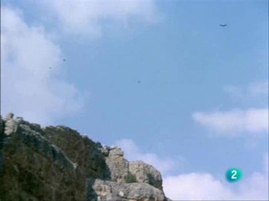 El hombre y la Tierra - Lobo carroñero