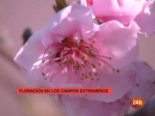 España en 24h - España en 24 horas - 17/03/10