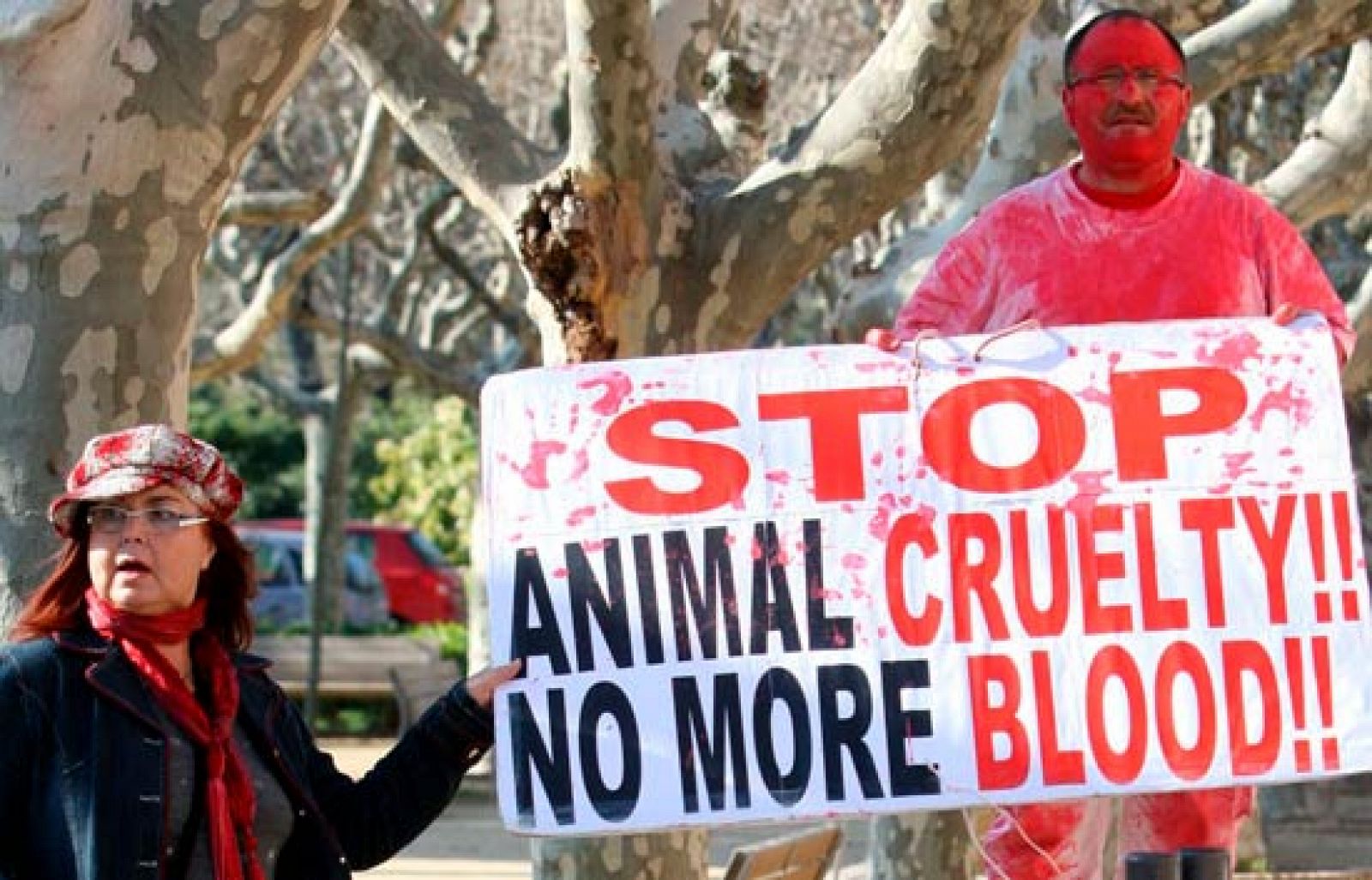 El parlamento catalán escucha a los últimos expertos convocados sobre los toros