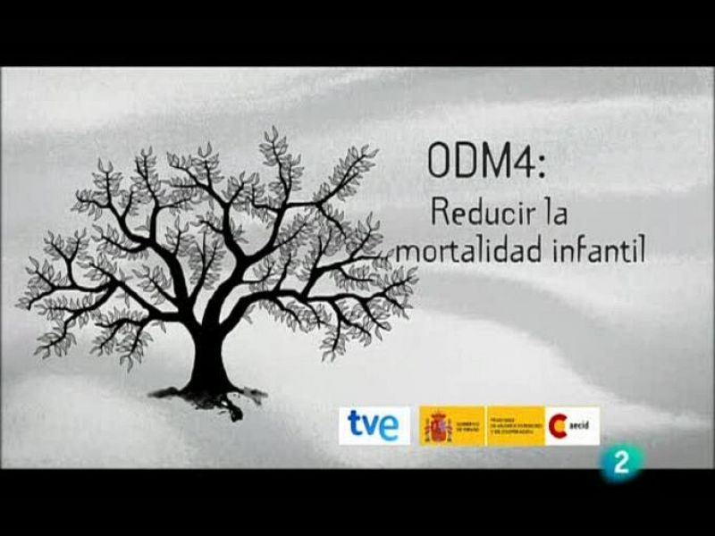 Historias del milenio - Objetivo 4: reducir la mortalidad infantil (Mozambique)