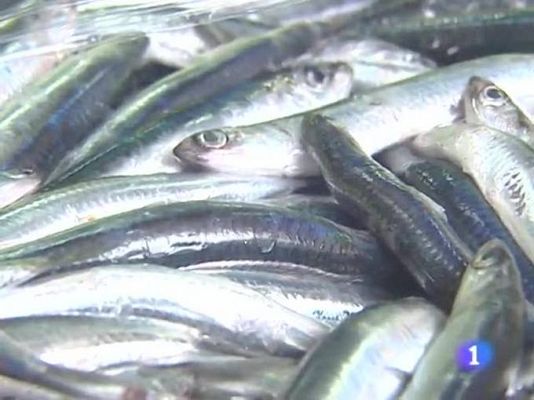 TeleCantabria - Telecantabria - 18/03/10