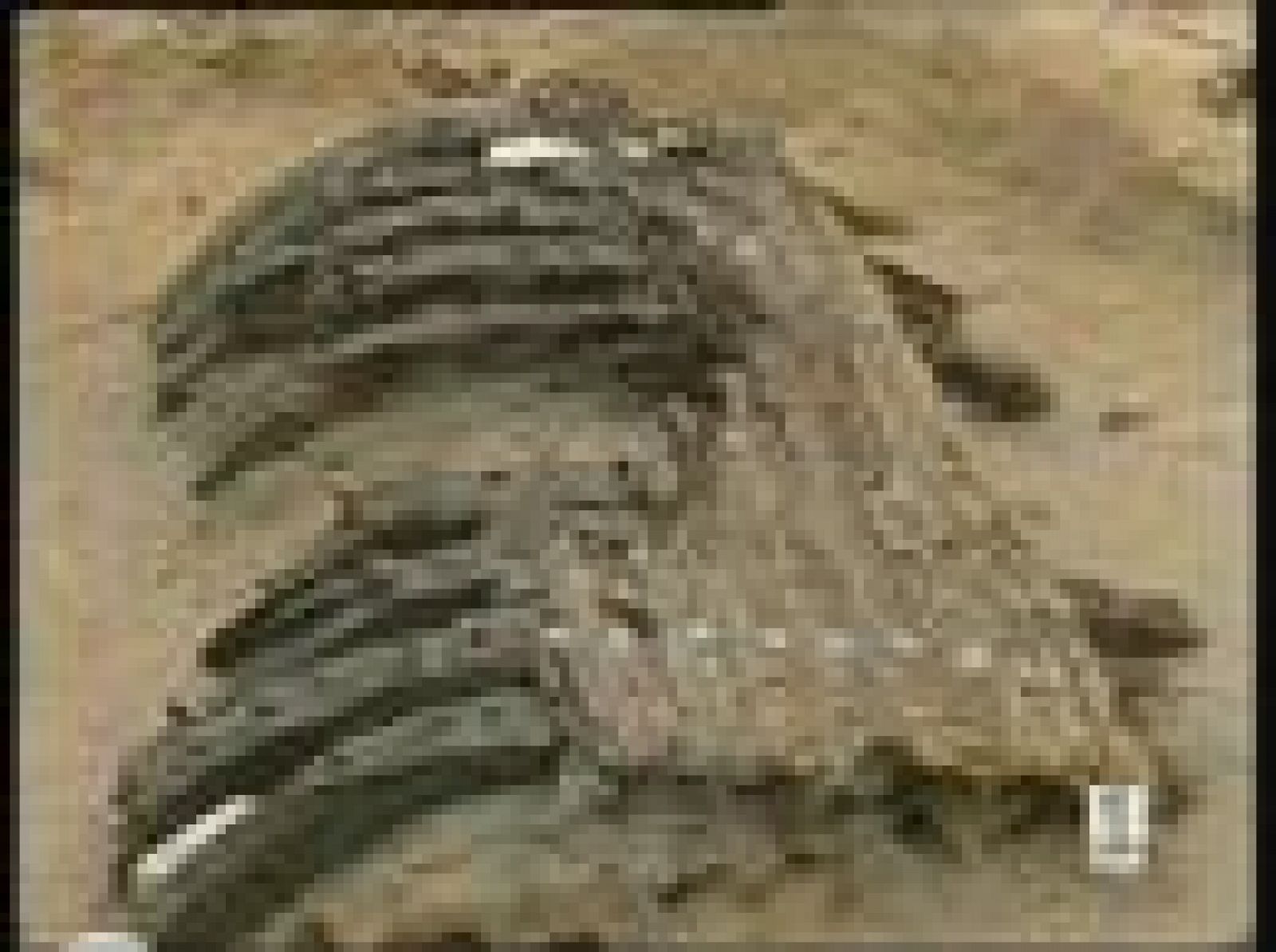 Un barco ha sido hallado en las obras de un aparcamiento en Barcelona