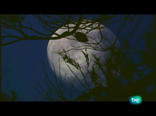 Jara y sedal - La trucha desde embarcación