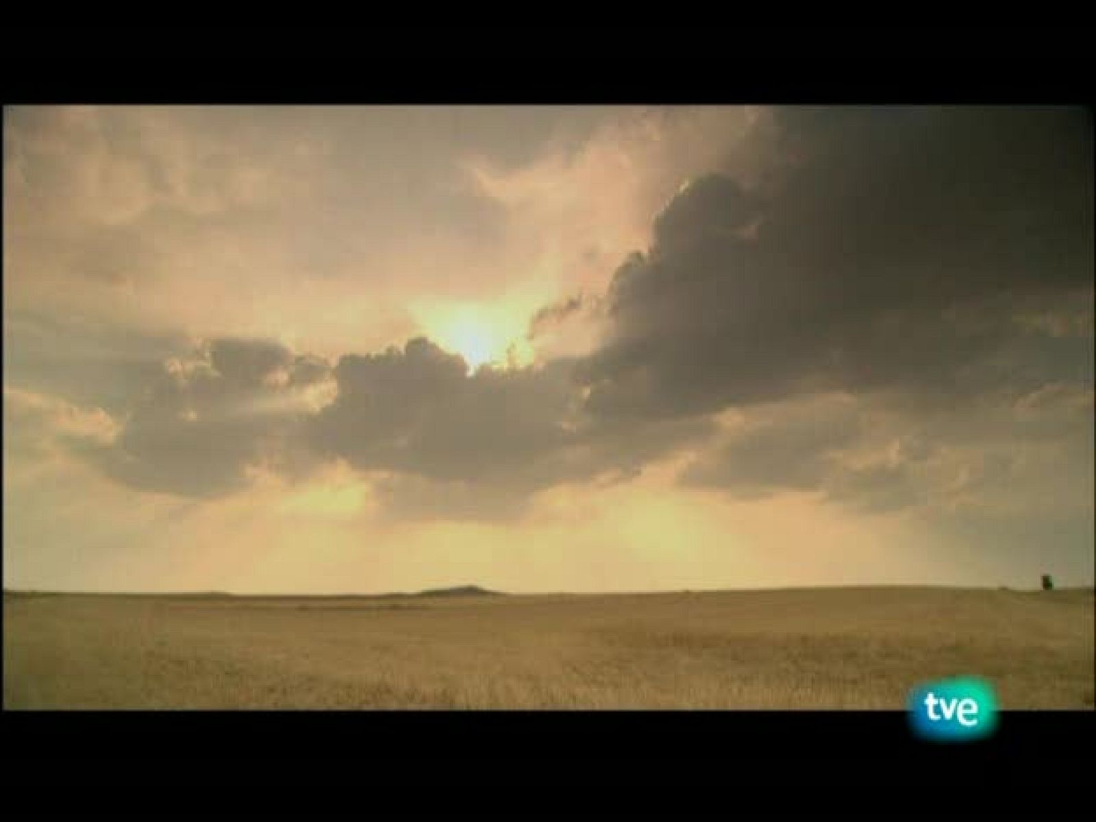 Nuestros caminos a Santiago - Nuestros caminos a Santiago | Ver