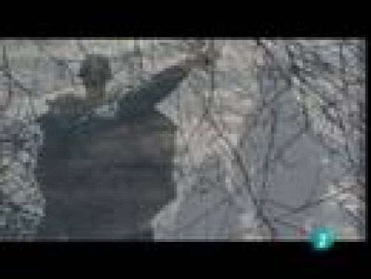 En portada - Las astillas del bosque ruso