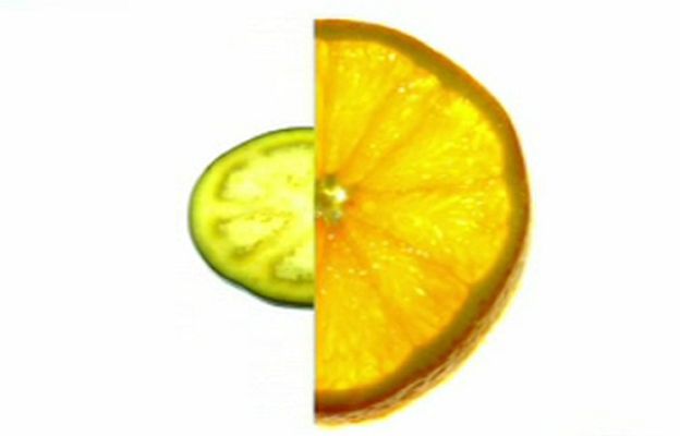 Zzz - Zzz - 19/03/10