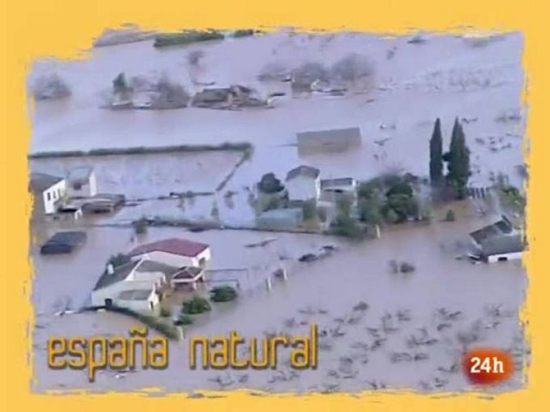 NATURAL:  Meteorología emocional (22/03/10)