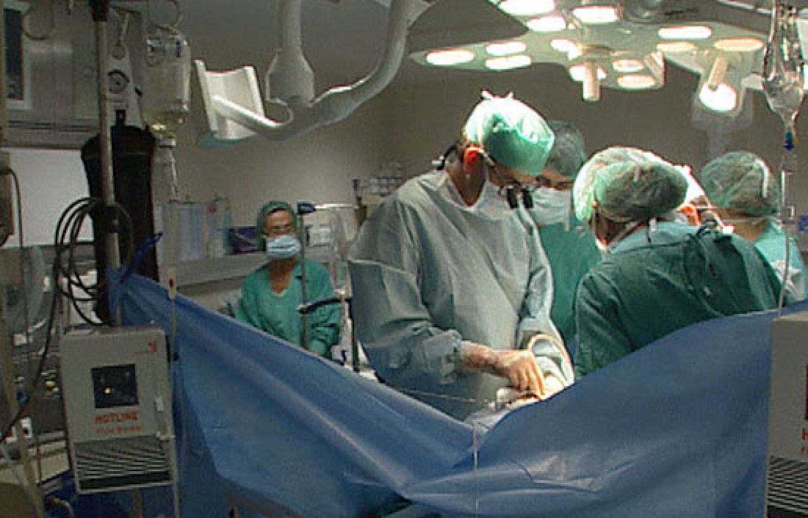 España impulsa la Directiva común de trasplantes de órganos