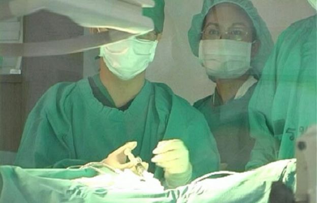 Ciencia y tecnología en Rtve.es - Tráfico ilegal de órganos