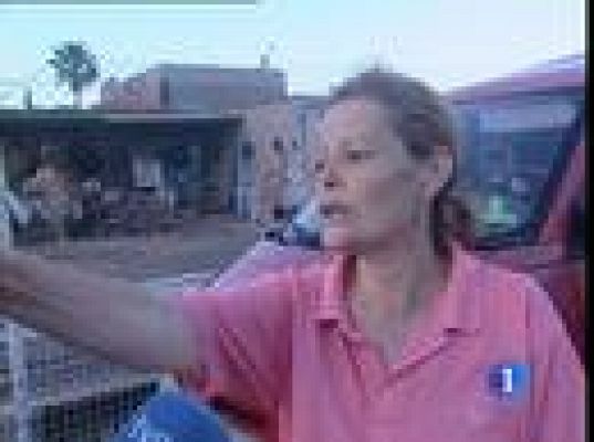  - Se escapan 3 tigres en Gran Canaria