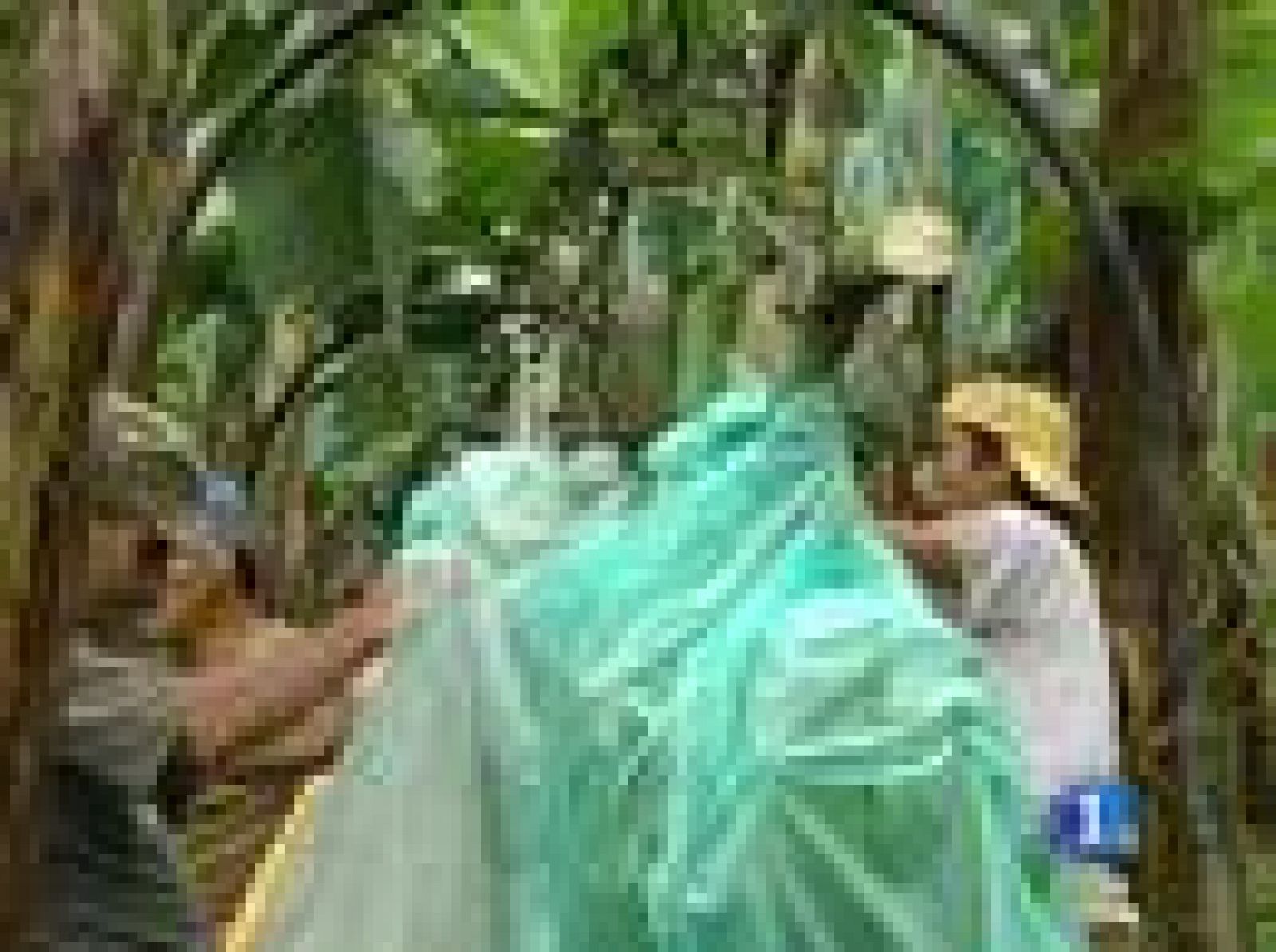 Día Meteorológico Mundial | Ver