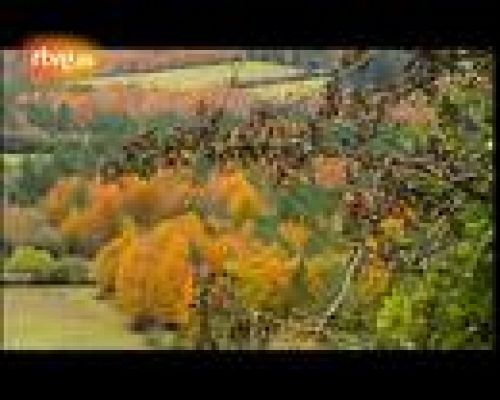 Reporteros de la historia de TVE - Quadra-Salcedo: su lugar preferido