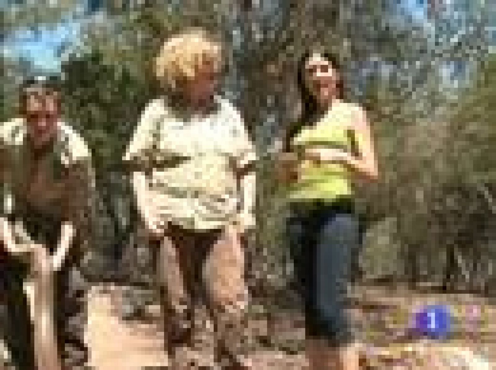 Españoles en el mundo - Sydney - Georgina | Ver