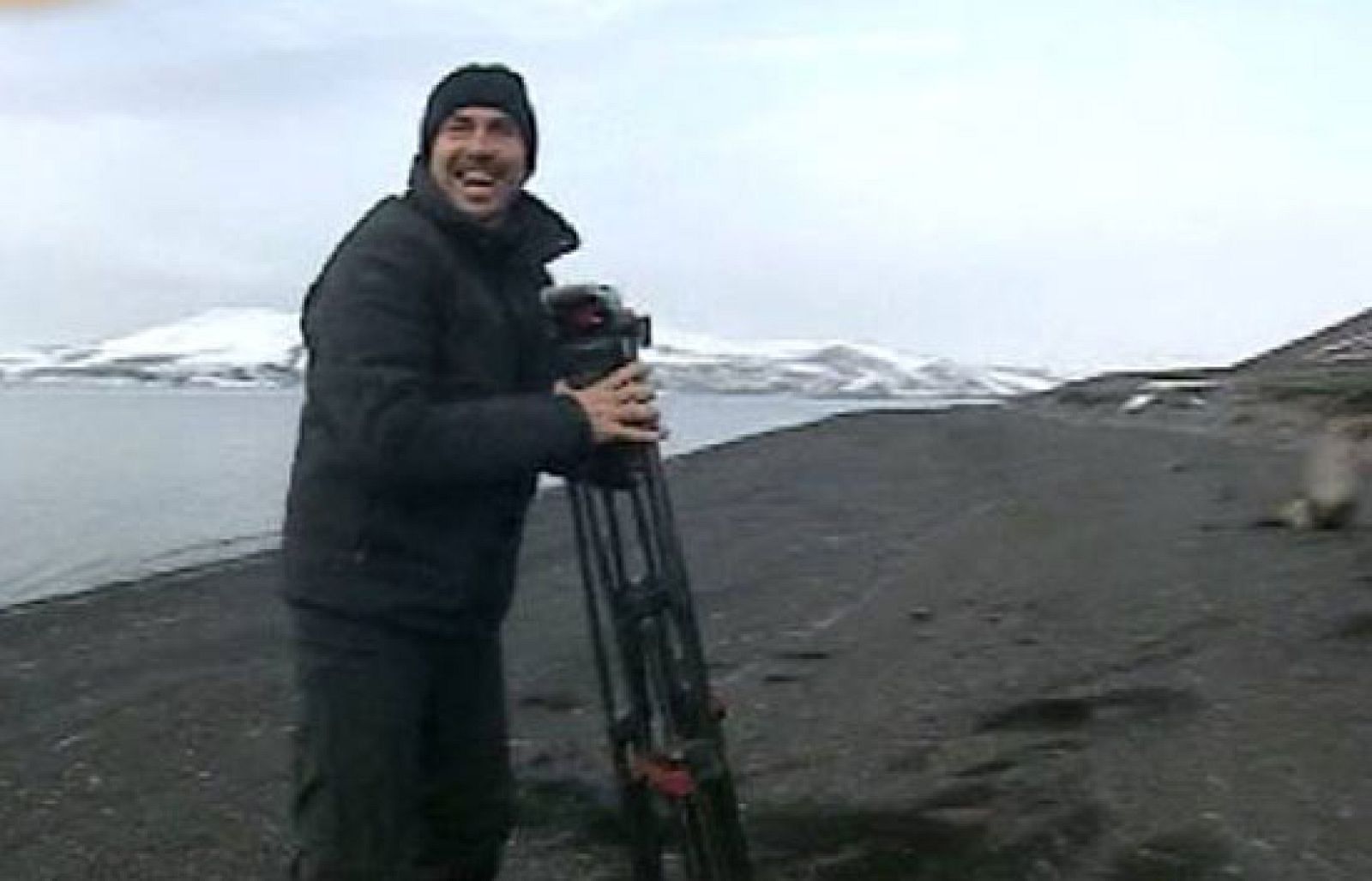 Crónicas - Huyendo del león marino - Crónicas | Ver