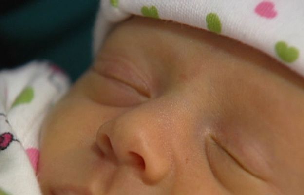 Ciencia y tecnología en Rtve.es - Selección genética