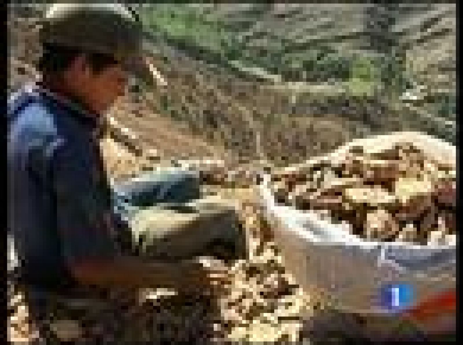 Ministros de Educación de Europa y de Latinoamérica se reúnen en Madrid | Ver