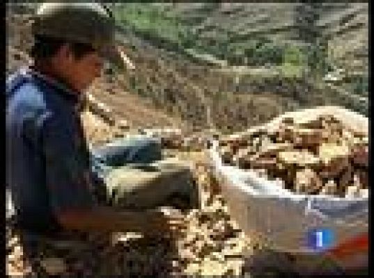  - Por la educación en Latinoamérica