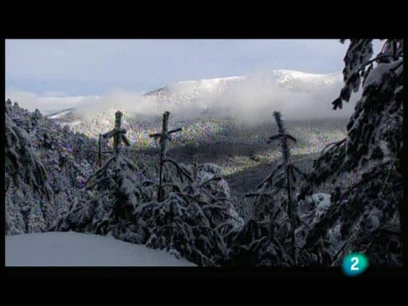  El escarabajo verde (25/03/10): Sierra amada, sierra atada