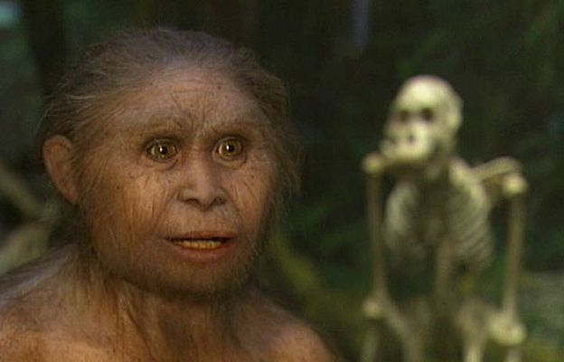 Ciencia y tecnología en Rtve.es - Descubierta la Mujer X