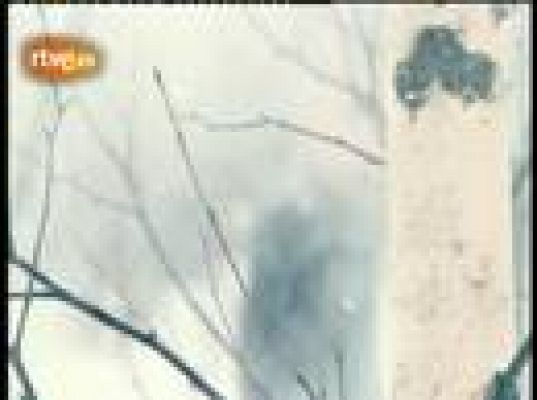 Eurovisión - Estonia