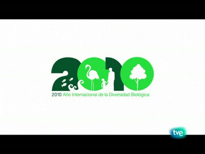 Biodiario - El río Manzanares - Biodiario | Ver