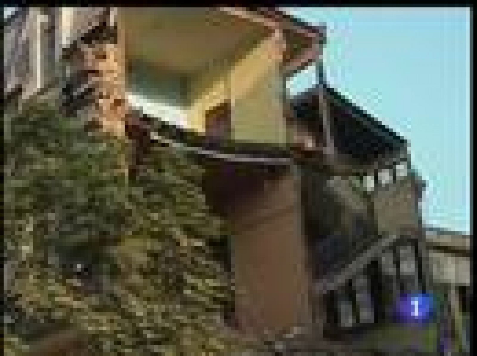 Hace un mes del terremoto en Chile que dejó más de 450 muertos