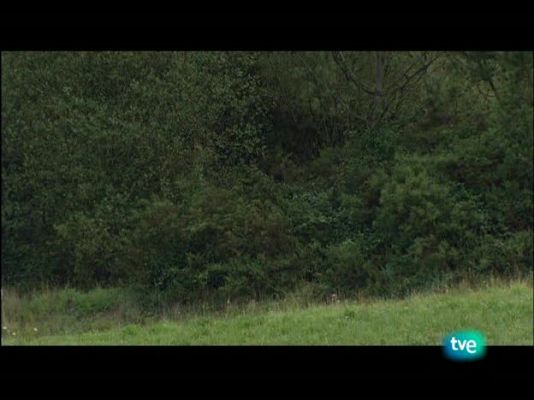 Nuestros caminos a Santiago - Nuestros caminos a Santiago