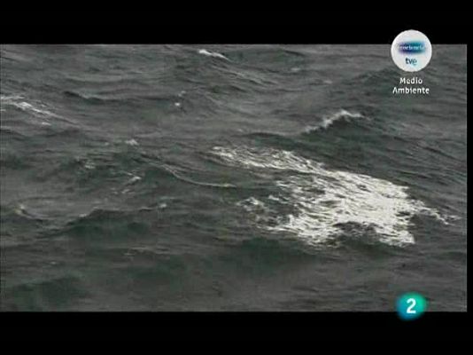 Crónicas - Antártida, continente para...