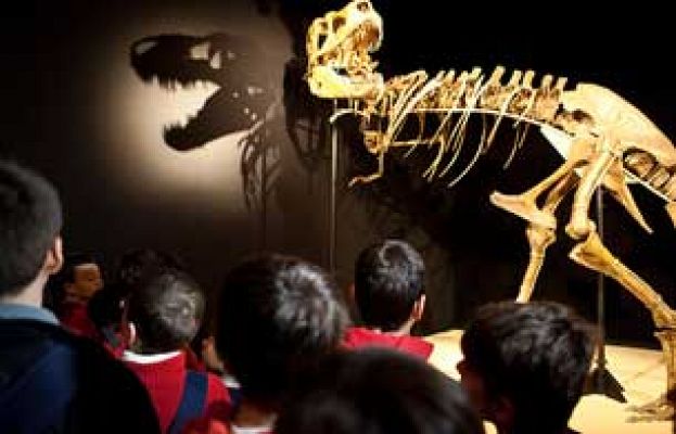 Exposición Dinosaurios del Gobi