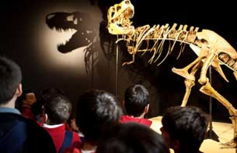  El Tarbosaurio es solo una de las piezas 43 piezas de la exposición la "Dinosaurios. Tesoros del desierto de Gobi" en Cosmocaixa en Madrid. 