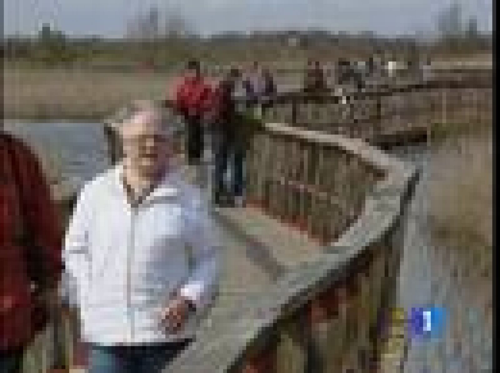 Las Tablas de Daimiel se presentan como uno de los destinos turísticos más atractivos para estas vacaciones | Ver