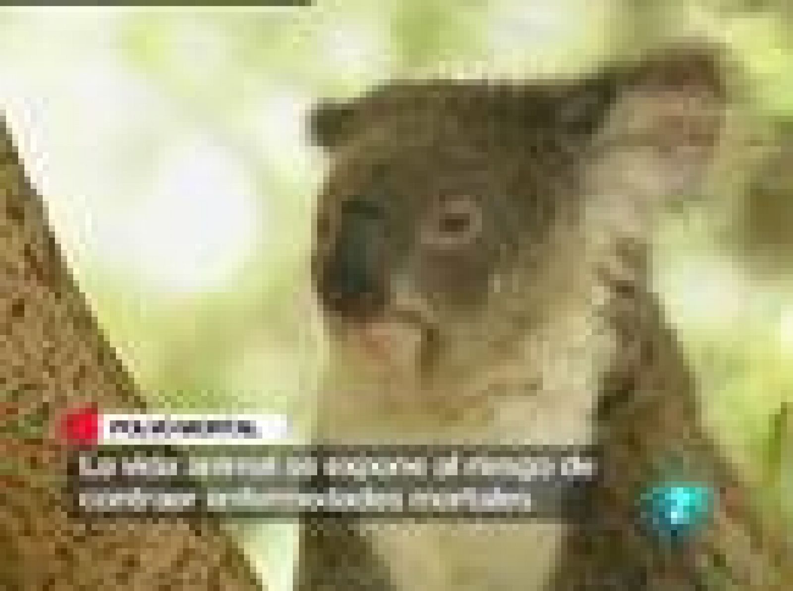 Futuro complicado para un parque natural en Australia | Ver