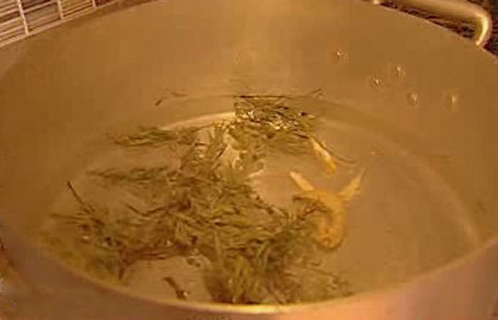 España Directo - Druidas del siglo XXI | Ver