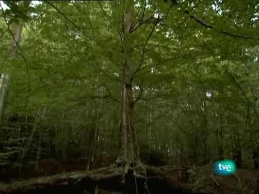 Metrópolis - Video Skulptur