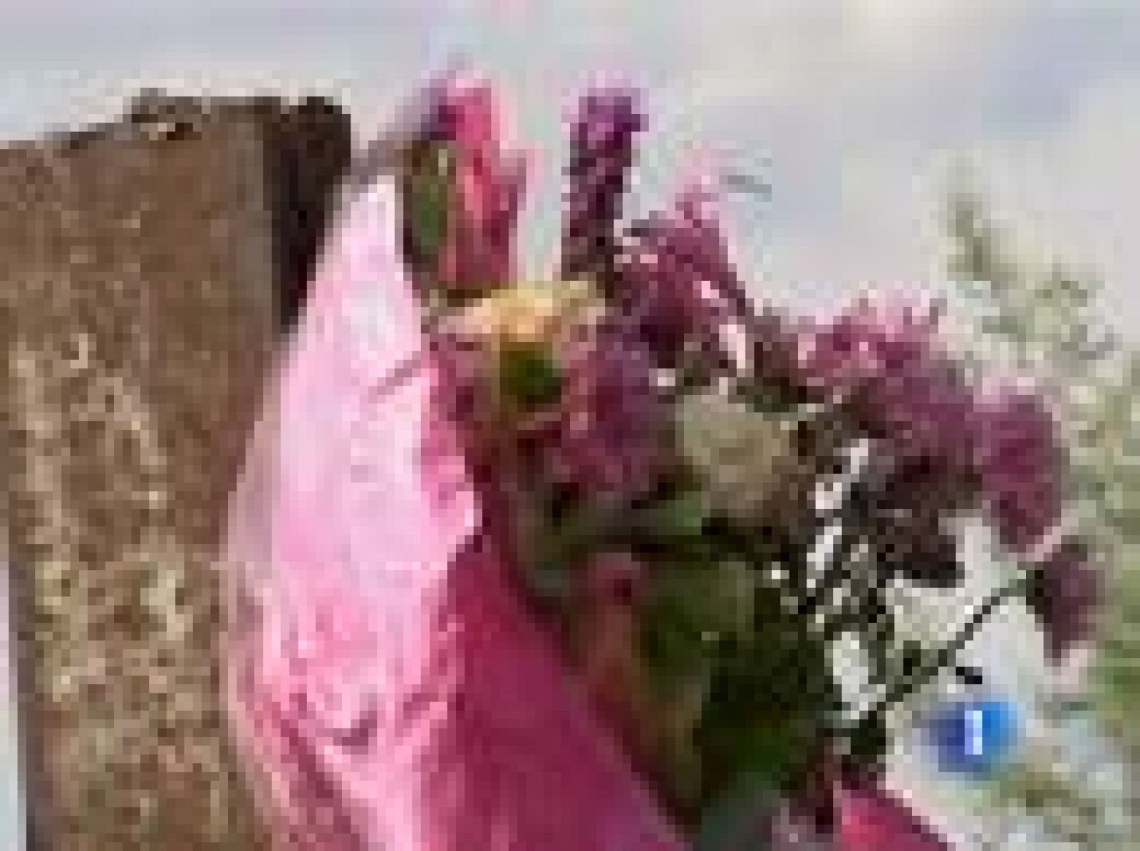 Tension racial antes del Mundial | Ver