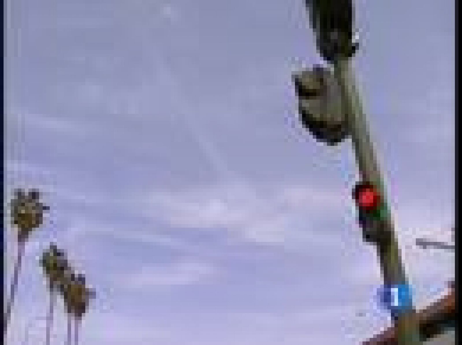 Al conductor que atropelló a dos jóvenes en Sevilla le habían retirado el carnet de conducir | Ver