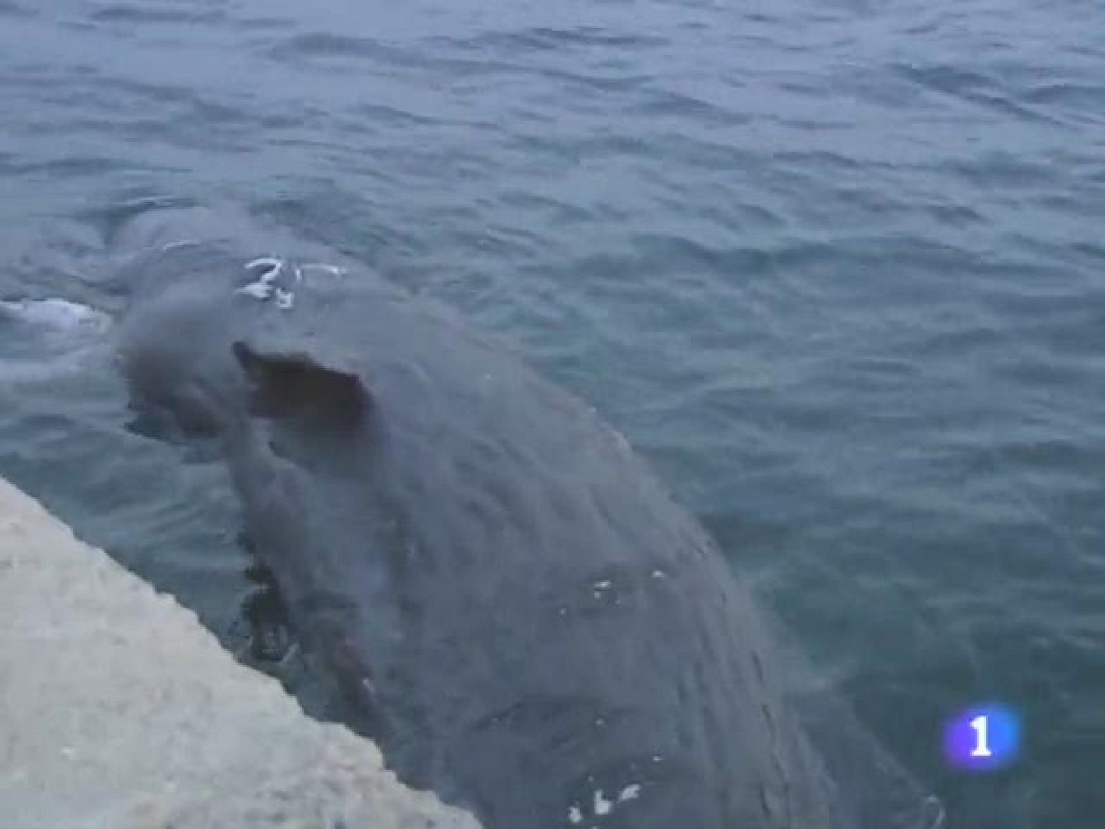  Telecantabria. Informativo de Cantabria. (6/04/10)