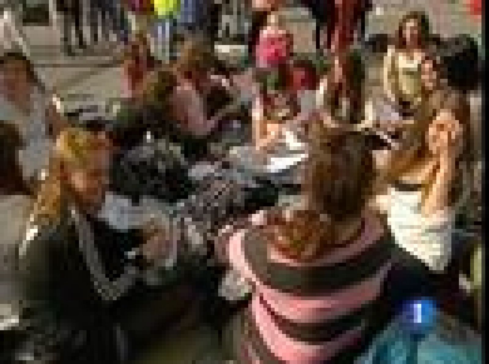 El cuarteto alemán Tokio Hotel actúa esta noche, en Madrid, en el Palacio de los Deportes | Ver