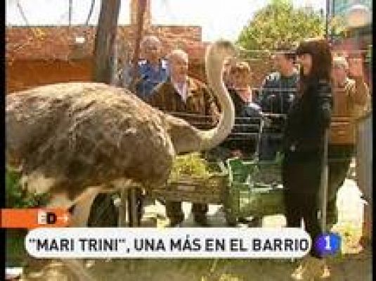 España Directo - Una vecina muy exótica